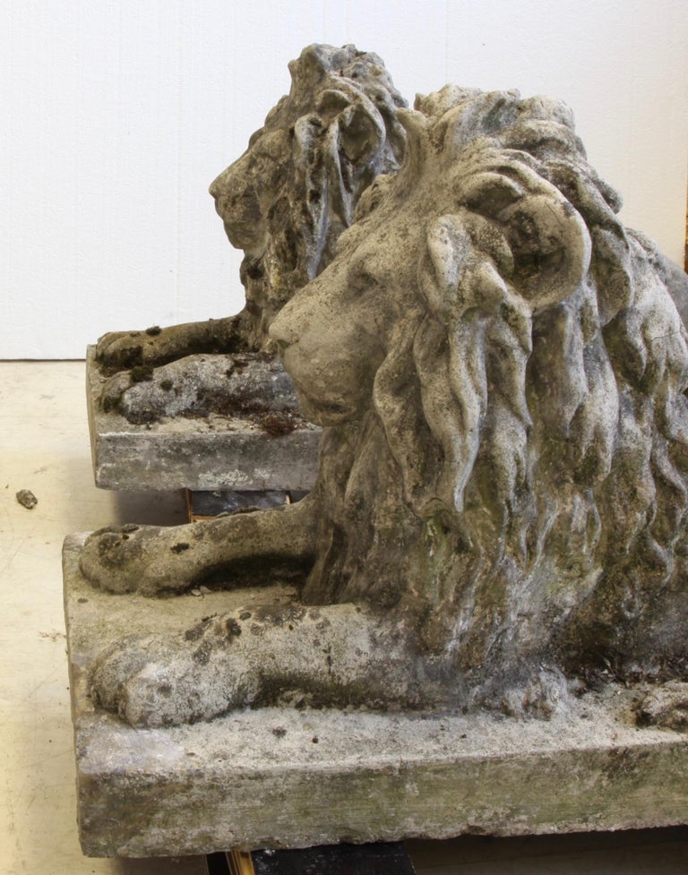 Pair of English Composite Stone Lions - La Maison London