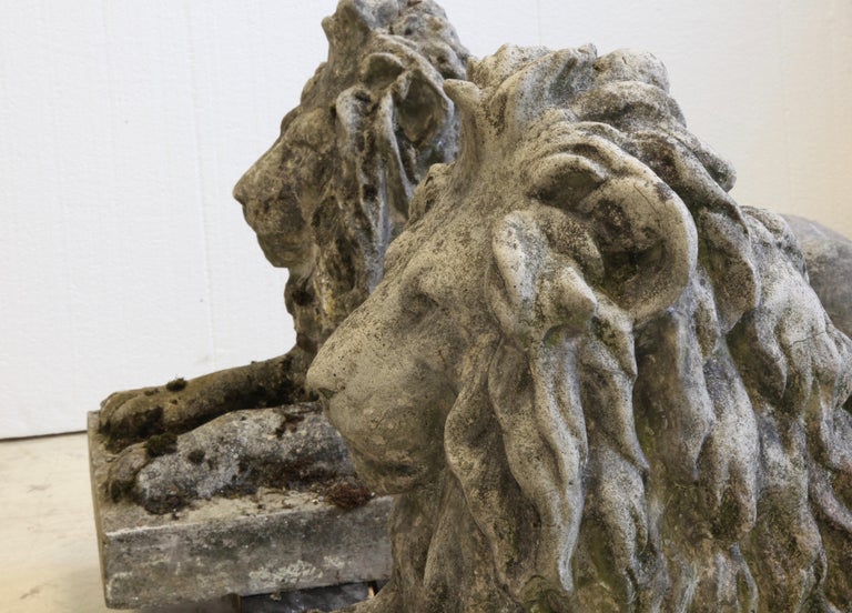 Pair of English Composite Stone Lions - La Maison London