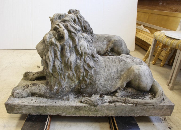 Pair of English Composite Stone Lions - La Maison London